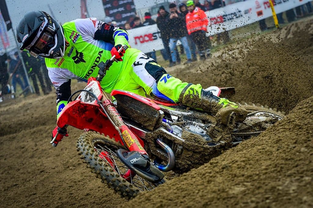 Herlings on Lierop - Comments image