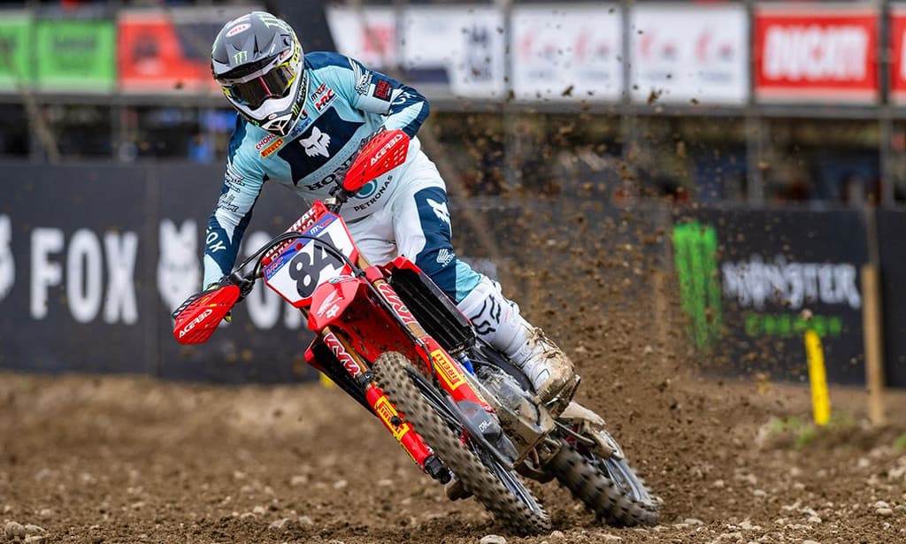 Herlings vs Mewse - Live Stream image