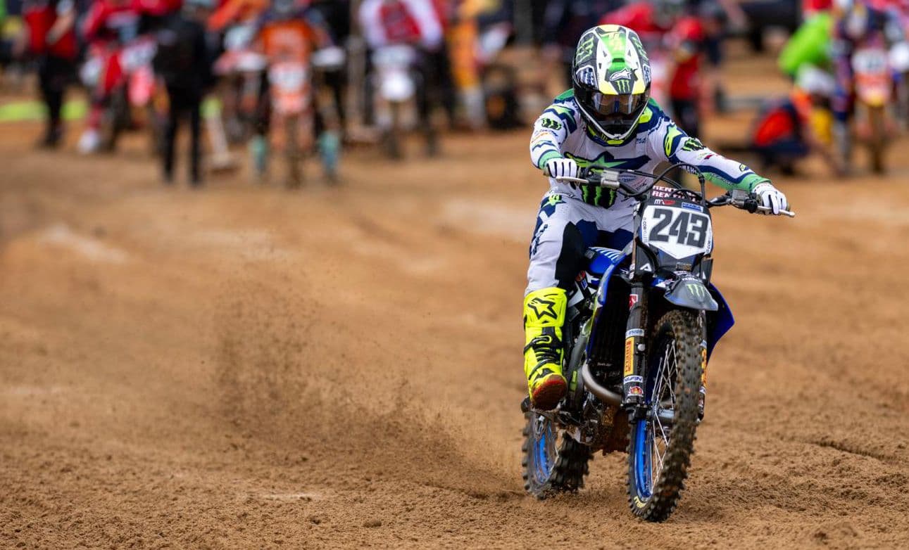 Gajser and Improvement image