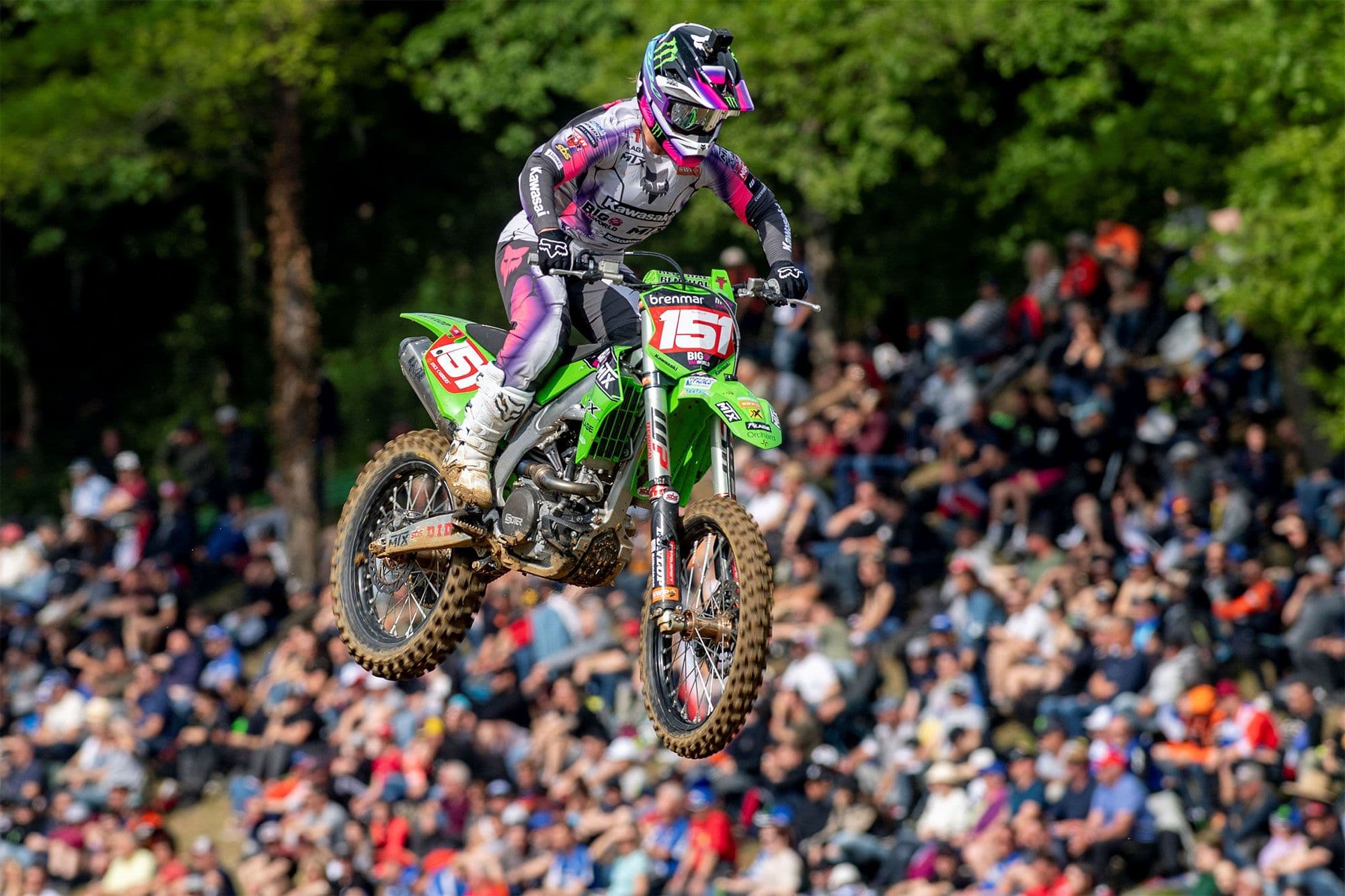 Duncan Back For Foxhill image