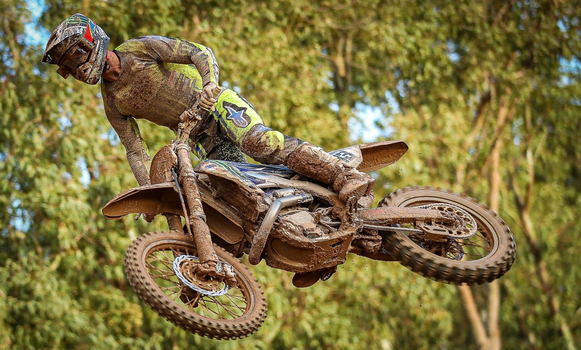 Gajser Great in Mantova image