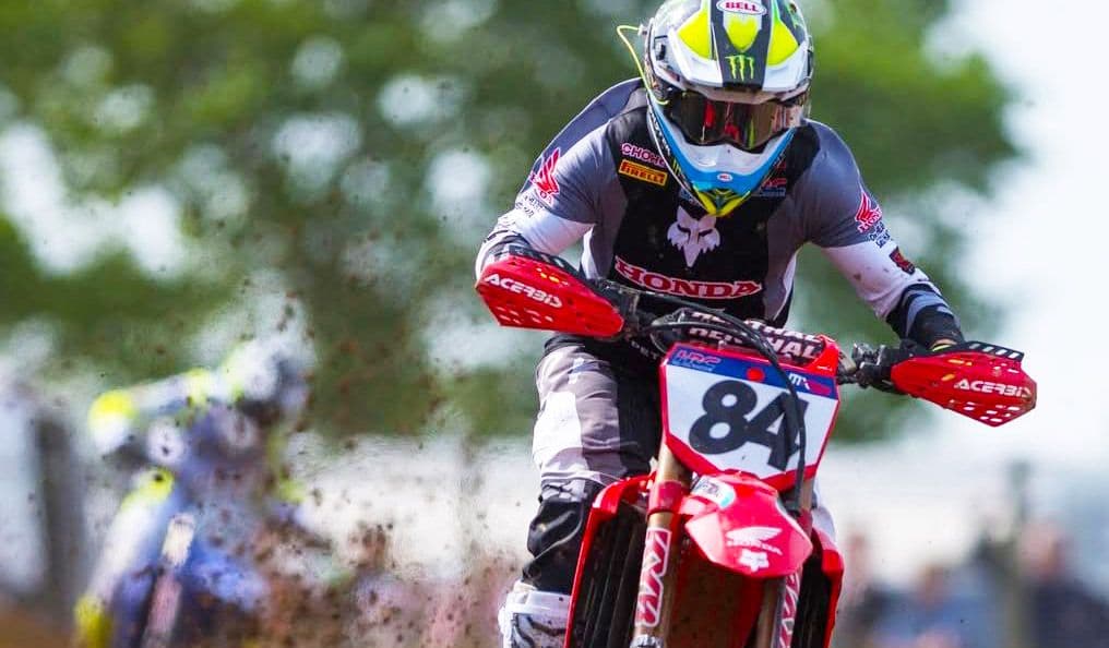 Herlings in France - Video image