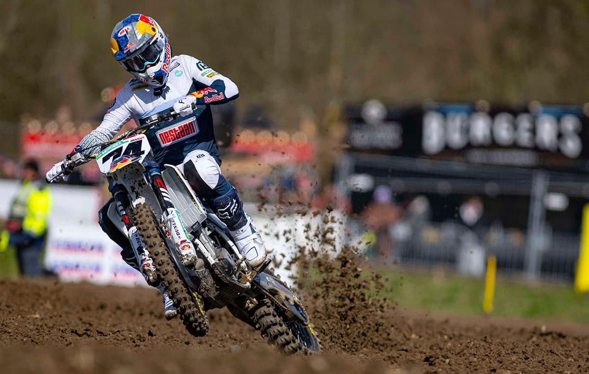 De Wolf on Pole - France image