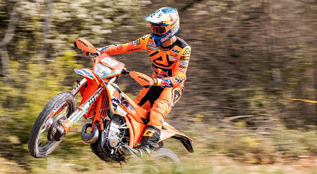 Andrea Verona - Gallery image