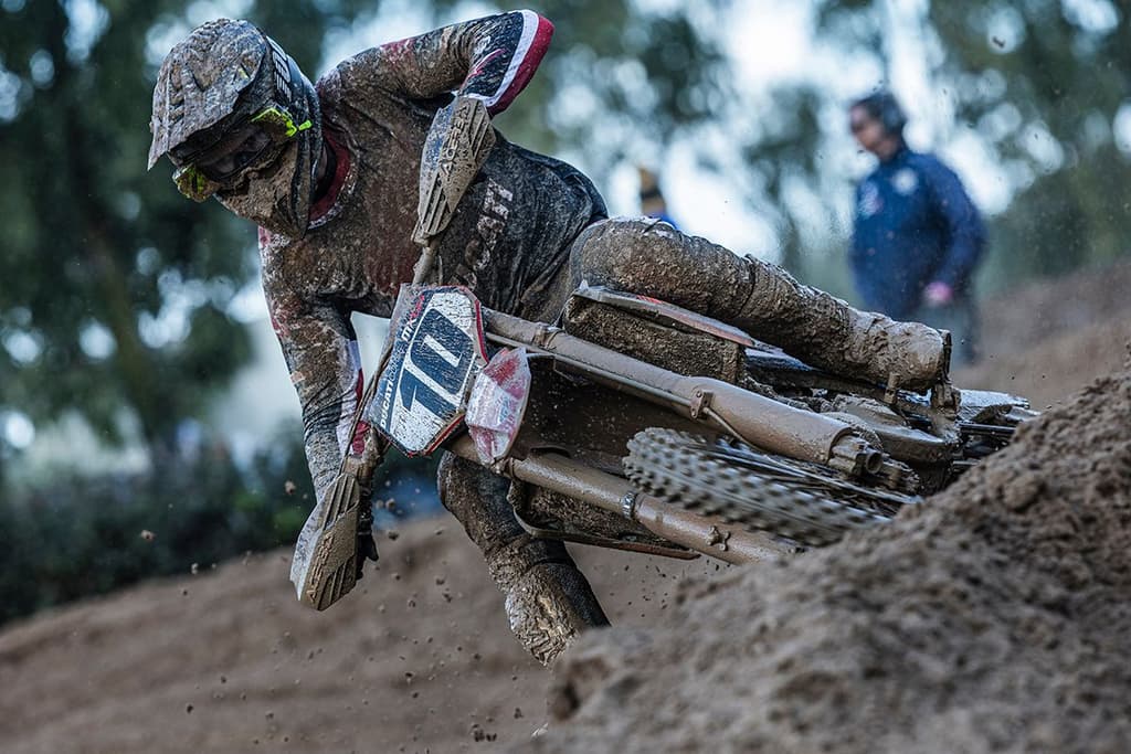 Vlaanderen - Dutch Masters image