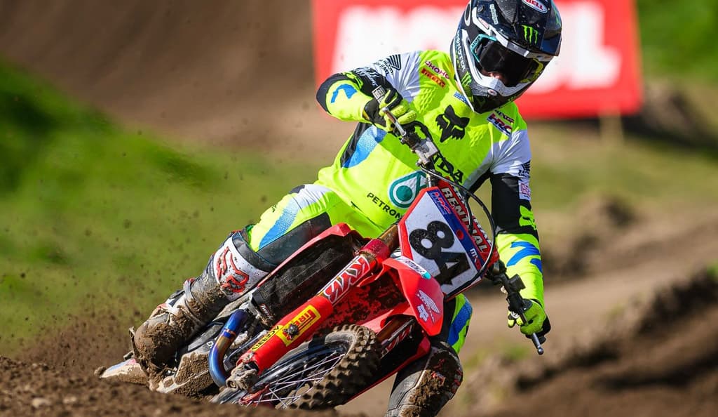 Herlings and Sand - Must See image