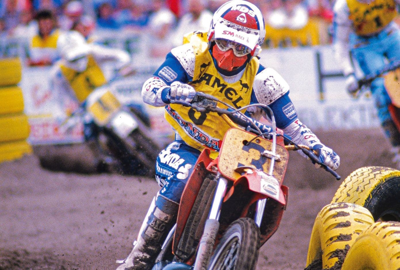 Thorpe Back To Hawkstone Park image