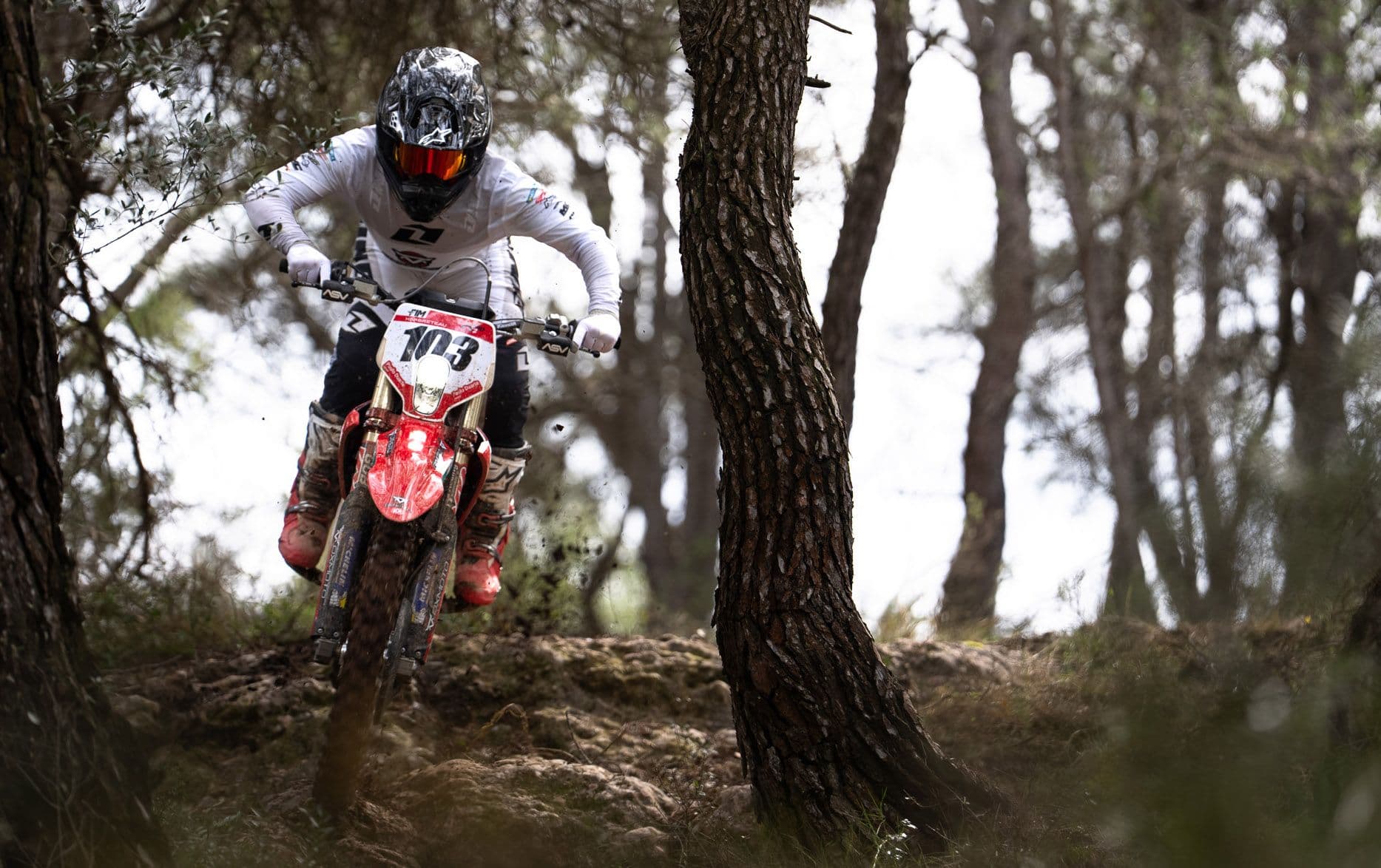 Stark and World Enduro GP image