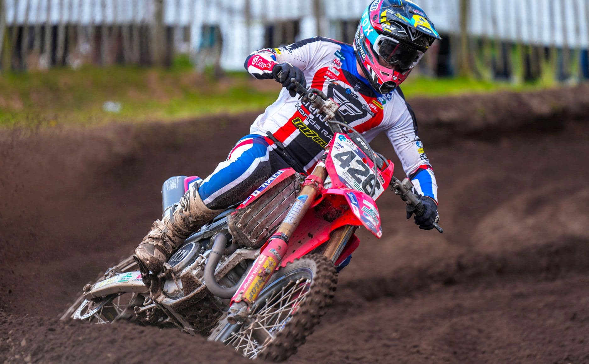 Mewse The Master In UK image